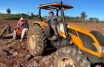 Productores de la Calle 8.000 Defensor del distrito de Santaní trabajan en el encalado de una parcela agricola