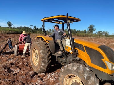 Productores de la Calle 8.000 Defensor del distrito de Santaní trabajan en el encalado de una parcela agricola