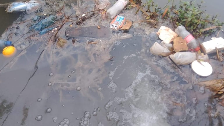 Cuerpo de agua contaminado con desechos flotantes y vegetación cercana, sin personas visibles.