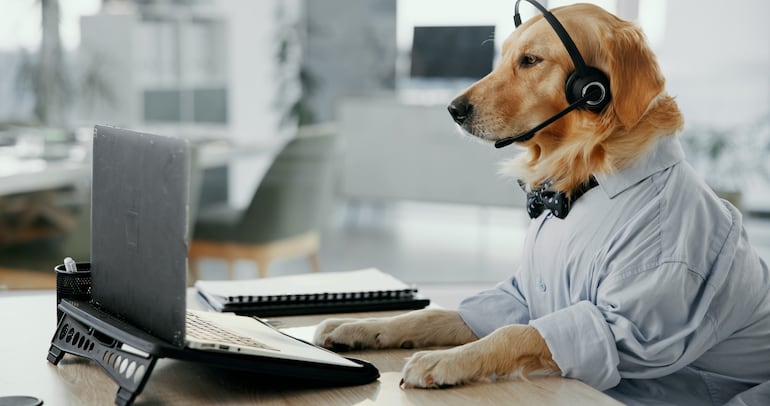 Concepto de perro en la oficina.