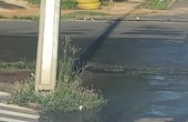 Una de las pérdidas que deja el asfalto completamente mojado.