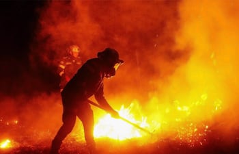 AME1017. TOLIMA (COLOMBIA), 21/08/2026.- Fotografía tomada de la cuenta de Instagram @gobertolima de la Gobernación del Tolima que muestra a integrantes de la Policía de Colombia intentando apagar un incendio forestal en una zona rural entre los municipios de San Luis y Gualanday del departamento del Tolima (Colombia). EFE/ @gobertolima /SOLO USO EDITORIAL/NO VENTAS/ SOLO DISPONIBLE PARA ILUSTRAR LA NOTICIA QUE ACOMPAÑA (CRÉDITO OBLIGATORIO) MÁXIMA CALIDAD DISPONIBLE