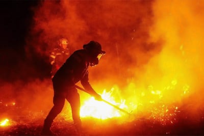 AME1017. TOLIMA (COLOMBIA), 21/08/2026.- Fotografía tomada de la cuenta de Instagram @gobertolima de la Gobernación del Tolima que muestra a integrantes de la Policía de Colombia intentando apagar un incendio forestal en una zona rural entre los municipios de San Luis y Gualanday del departamento del Tolima (Colombia). EFE/ @gobertolima /SOLO USO EDITORIAL/NO VENTAS/ SOLO DISPONIBLE PARA ILUSTRAR LA NOTICIA QUE ACOMPAÑA (CRÉDITO OBLIGATORIO) MÁXIMA CALIDAD DISPONIBLE