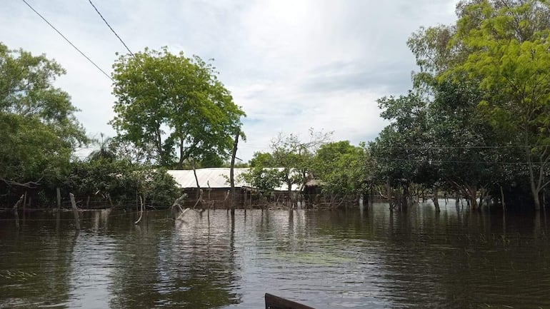 Paisaje inundado en Cerrito, con casas sumergidas y árboles frondosos en el fondo.