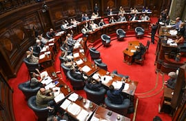 Cámara de Senadores de Uruguay. (archivo)