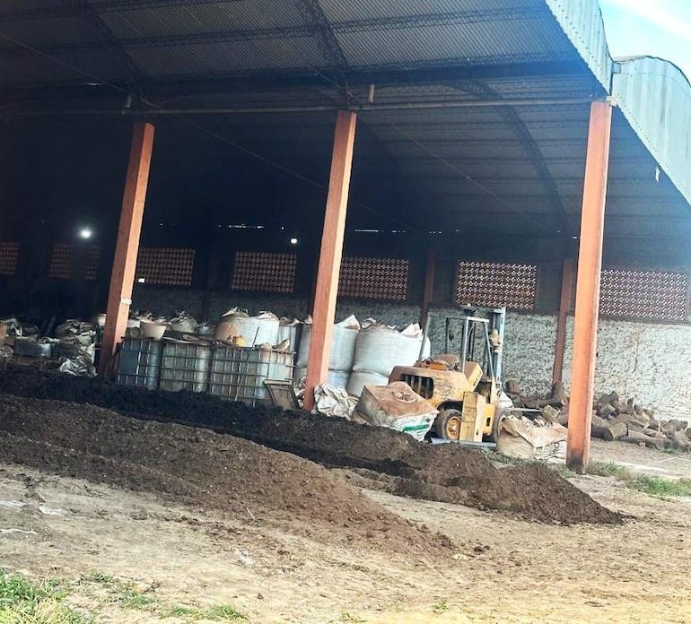 La gallinaza en estado natural es esparcida bajo un tinglado, lo que genera un olor nauseabundo y quejas de vecinos en Carapeguá.