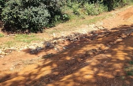 Camino en mal estado, por lo que vecinos de comunidades afectadas del distrito de San Miguel piden una intervención urgente para su reparación.