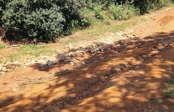 Camino en mal estado, por lo que vecinos de comunidades afectadas del distrito de San Miguel piden una intervención urgente para su reparación.