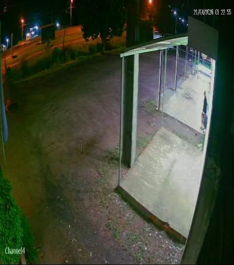 Escena nocturna en un entorno exterior con luces tenues y suelo mojado. No hay personas visibles en la imagen.