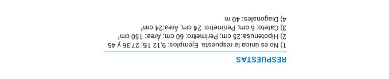 Triángulos rectángulos. Teorema de Pitágoras