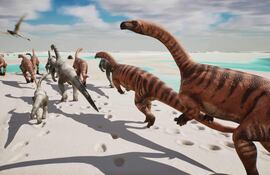 En el Parque Nacional de Stelvio, en los Dolomitas italianos, se ha descubierto lo que todos llaman ya el "valle de los dinosaurios": miles de huellas fósiles estampadas en las paredes verticales inaccesibles de la montaña por los llamados 'prosaurópodos', dinosaurios herbívoros de cuello largo que poblaron estas zonas hace 210 millones de años, en el Triásico Tardío.