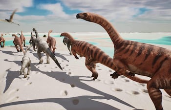 En el Parque Nacional de Stelvio, en los Dolomitas italianos, se ha descubierto lo que todos llaman ya el "valle de los dinosaurios": miles de huellas fósiles estampadas en las paredes verticales inaccesibles de la montaña por los llamados 'prosaurópodos', dinosaurios herbívoros de cuello largo que poblaron estas zonas hace 210 millones de años, en el Triásico Tardío.