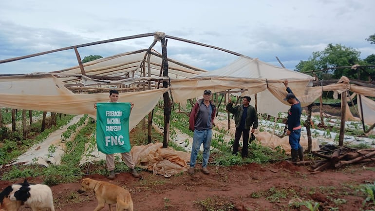 Cinco hombres en invernadero deteriorado; uno sostiene cartel de la Federación Nacional Campesina con expresión de preocupación.