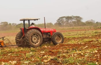 El sémano es uno de los rubros de alternativos de los productores