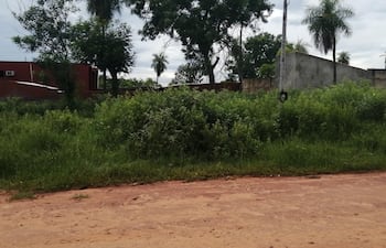 Los ciudadanos no solo se quejan del mal estado de los caminos, sino también de la falta de limpieza de los terrenos baldíos.
