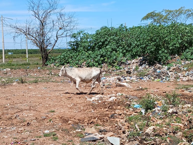 Basural en campo comunal de Iturbe