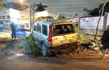 Una camioneta impactó contra un árbol del paseo central ubicado sobre Médicos del Chaco.