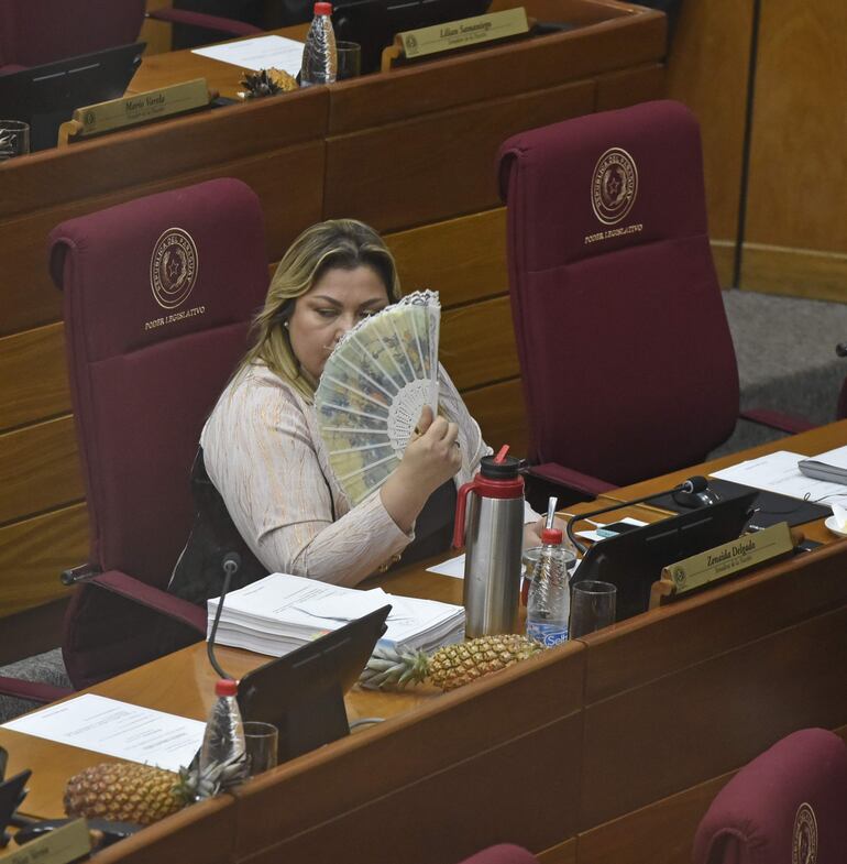 Zenaida Delgado (cartista) usa un abanico en el Senado.