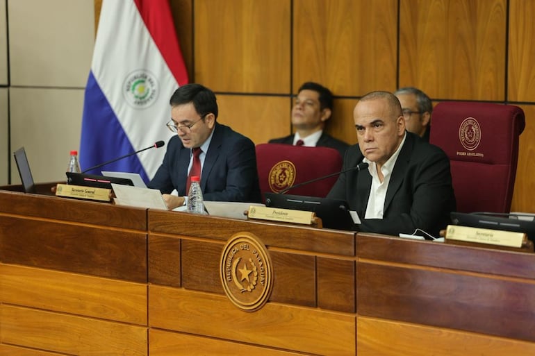 El titular del Senado Basilio Núñez.