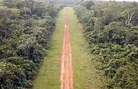 Una de las pistas clandestinas que supuestamente utilizaba la estructura criminal para bajar cargas de cocaína en zona de Pedro Juan Caballero.