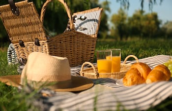 Concepto de picnic.
