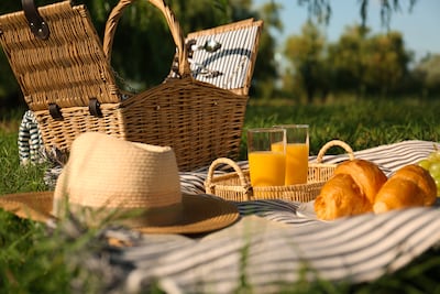 Concepto de picnic.