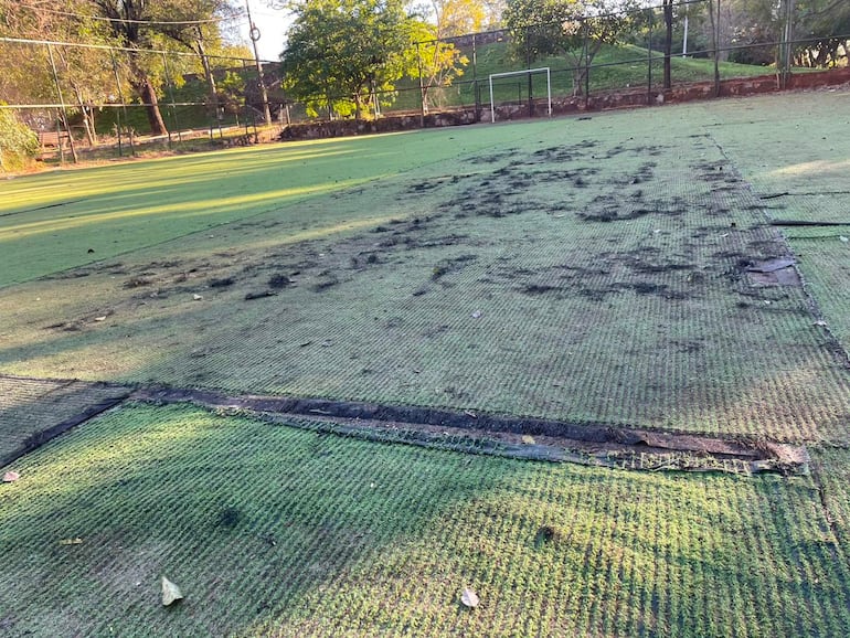 Campo de fútbol con césped sintético deteriorado y portería, rodeado de vegetación, sin actividad humana.
