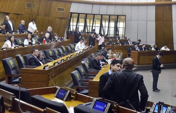 La Cámara de Diputados tuvo un intenso debate sobre un proyecto de ley para depurar padrones de cara a elecciones municipales complementarias.
