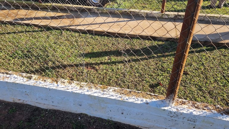 Área de césped y concreto en un patio trasero cercado por malla de alambre, sin presencia de personas.