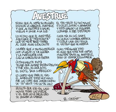 AVESTRUZ