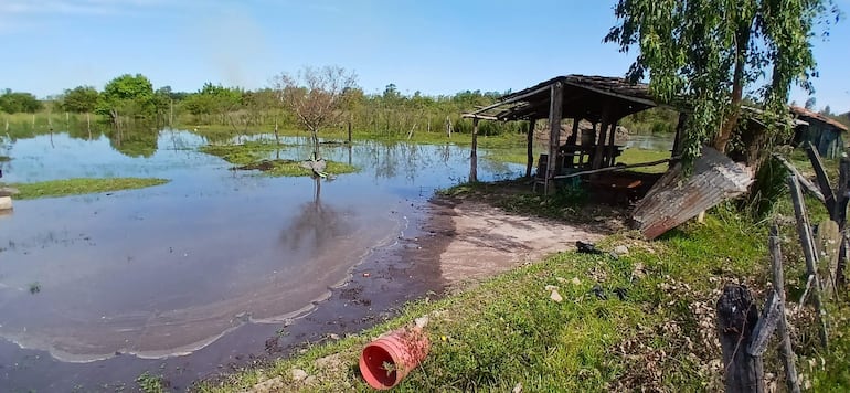 Un terreno anegado con un refugio deteriorado entre la vegetación, reflejando el impacto de la inundación.