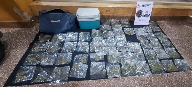 Los 66 sobres plásticos cargados con marihuana encontrados en el equipaje del joven.