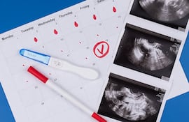 Concepto de fertilidad.