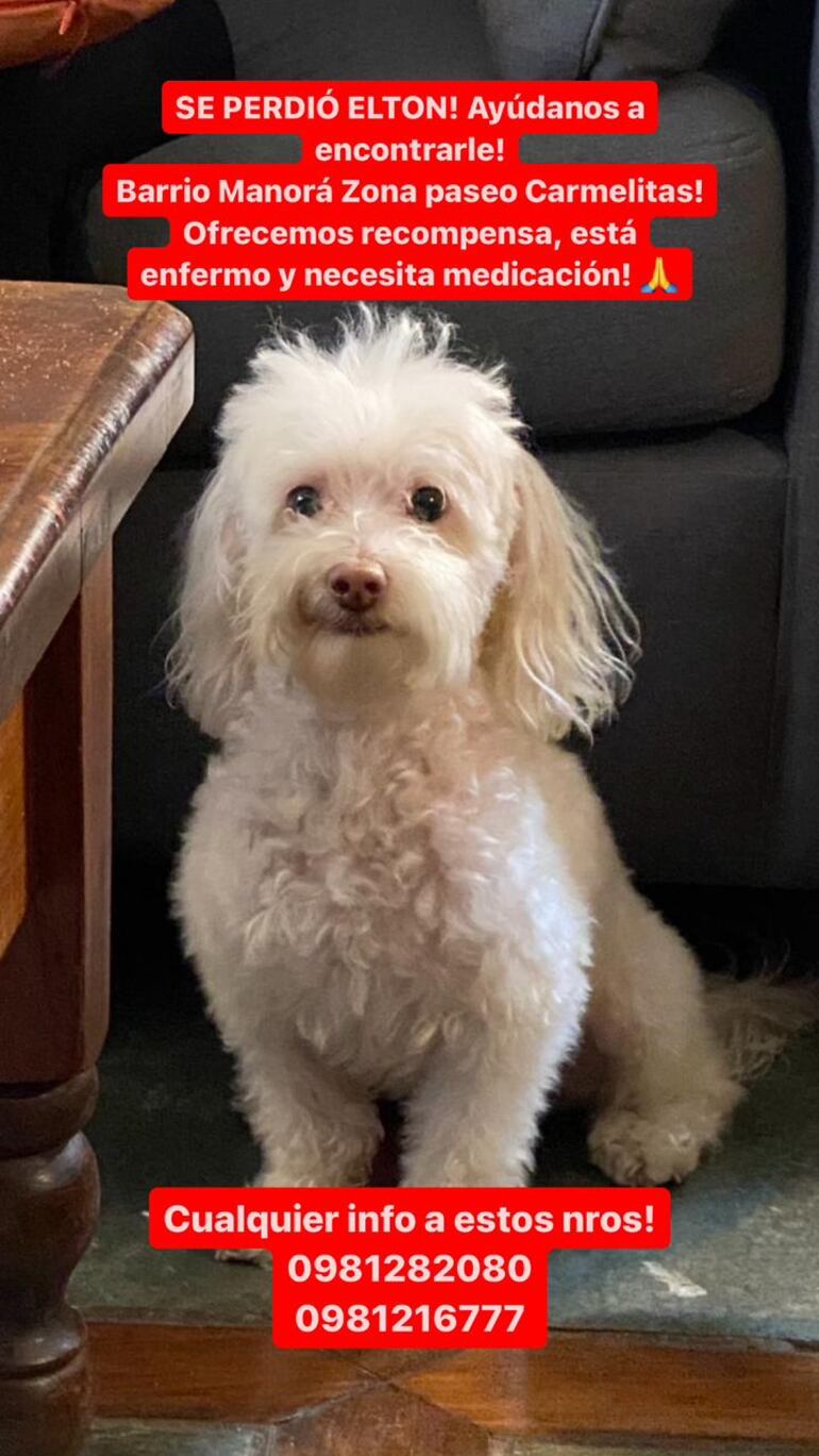 Elton está perdido.