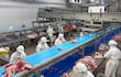 El ingeniero que convierte datos en carne exportable