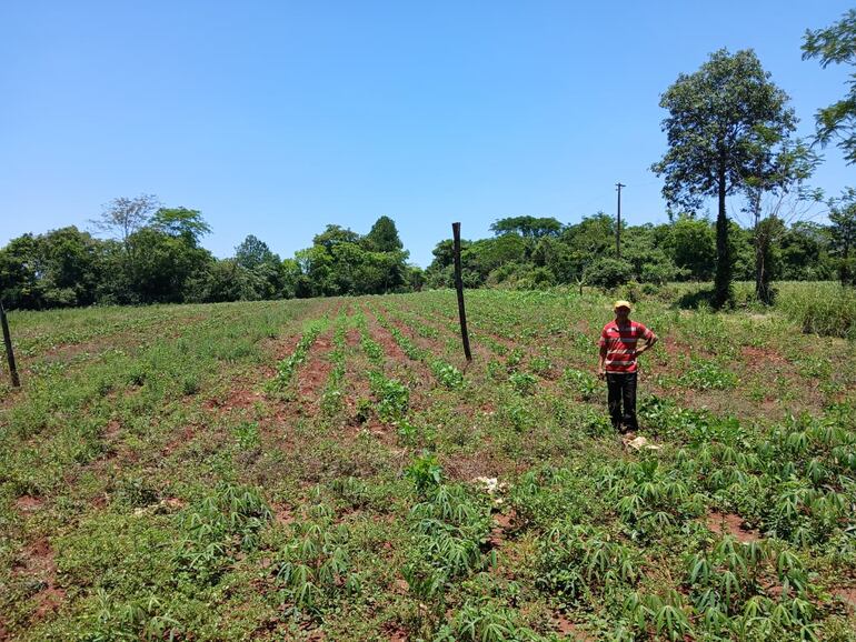 Cebolleros Independencia