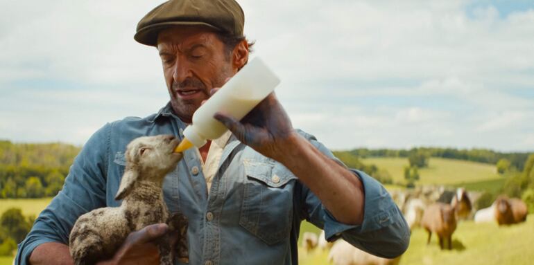 'Las ovejas detectives', protagonizada por Hugh Jackman, se estrenará en cines de Paraguay este jueves.