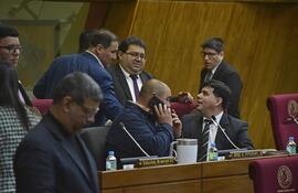 Sesión de la Cámara de Diputados.