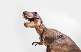 Dinosaurio T-Rex, imagen ilustrativa.