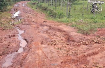 Camino de tierra deteriorado con charcos, rodeado de vegetación, y un viejo carro de madera en un entorno rural sin personas visibles.