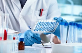El dinamismo exportador se ha convertido en uno de los ejes estratégicos del sector farmacéutico nacional.
