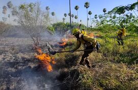 Imágenes de un gran incendio en el territorio chaqueño.