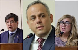 Ternas para Contralor General de la República:
1. Camilo Daniel Benítez Aldana
2. Mabel Bogado Oviedo
3. Carlos Vera Ruiz
Ternas para Sub Contralor:
1. Armindo Torres Torres
2. Augusto José Félix Paiva
3. Cosme Alfredo Torres Rodríguez
