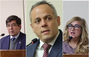 Ternas para Contralor General de la República:
1. Camilo Daniel Benítez Aldana
2. Mabel Bogado Oviedo
3. Carlos Vera Ruiz
Ternas para Sub Contralor:
1. Armindo Torres Torres
2. Augusto José Félix Paiva
3. Cosme Alfredo Torres Rodríguez