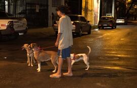 Lautaro, el adolescente paseador de perros de Barrio Obrero.