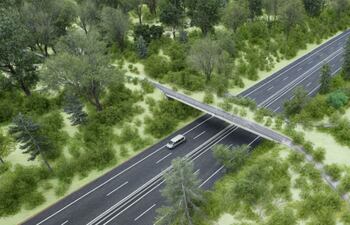 El primer paso de fauna elevado del país que se construirá como parte de las obras de acceso al segundo puente internacional sobre el río Paraná.