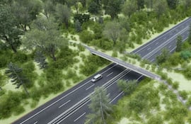 El primer paso de fauna elevado del país que se construirá como parte de las obras de acceso al segundo puente internacional sobre el río Paraná.