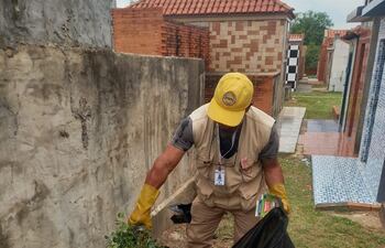 Se realizaron tareas de limpieza y mantenimiento en el campo santo de Caacupé, con recolección de residuos, corte de malezas y eliminación de criaderos de mosquitos, como parte de los preparativos para la festividad mariana.
