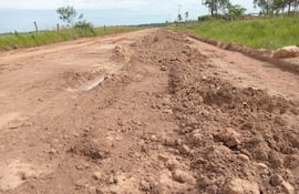 Camino de tierra con surcos y zanjas, rodeado de hierba verde y árboles en un paisaje rural sin personas visibles.