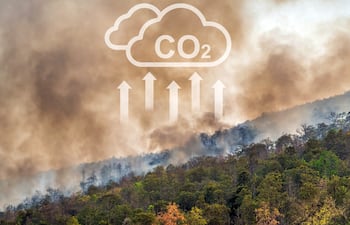 Créditos de carbono son instrumentos comercializables que representan unidades en toneladas de gases de efecto invernadero reducidas, evitadas o capturadas.